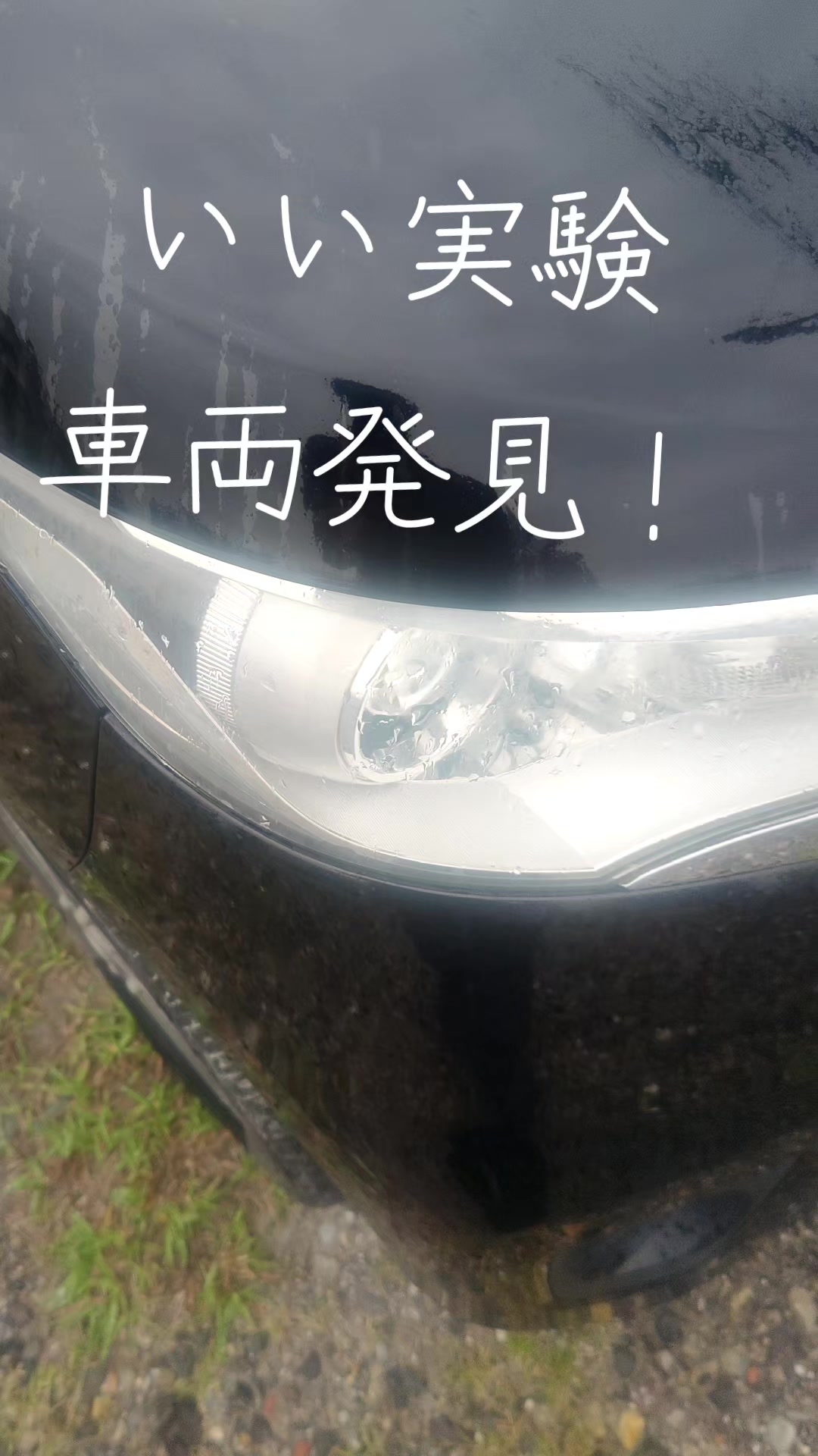 @マジカルな🙄ずんだひろし??