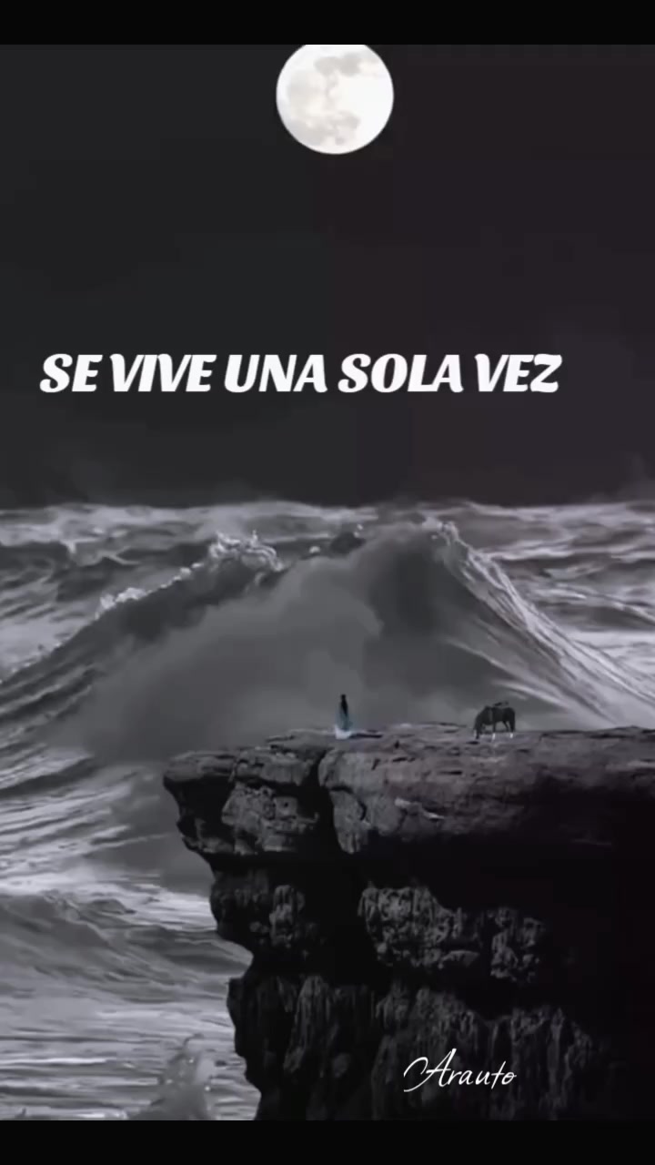 @🦁WiL-Arauto