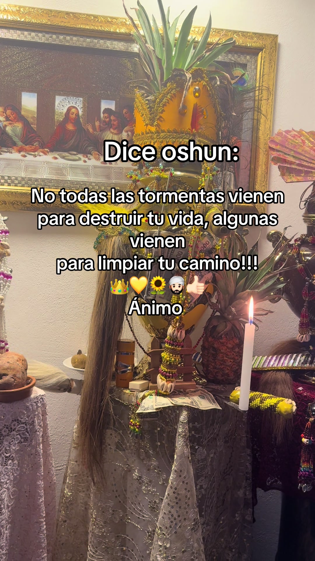 @octaviooshunkoide
