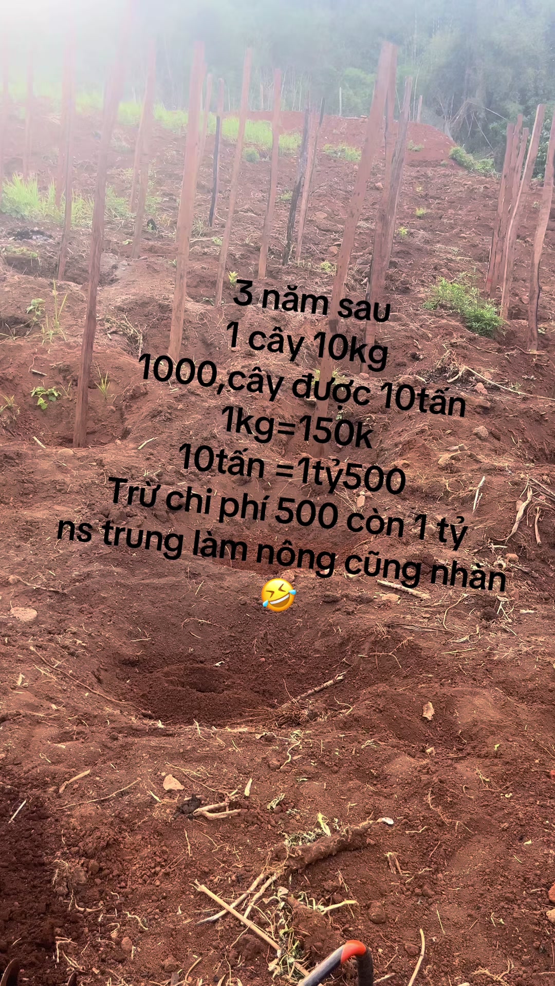 @Ph&uacute;c Bồ ✅