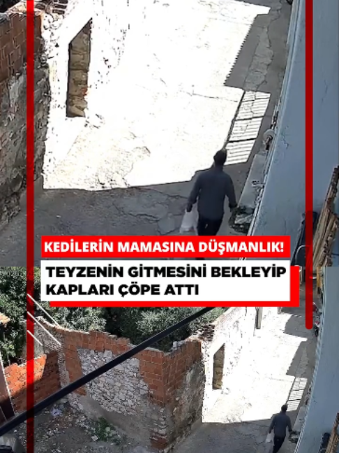 @kedifanatikleri