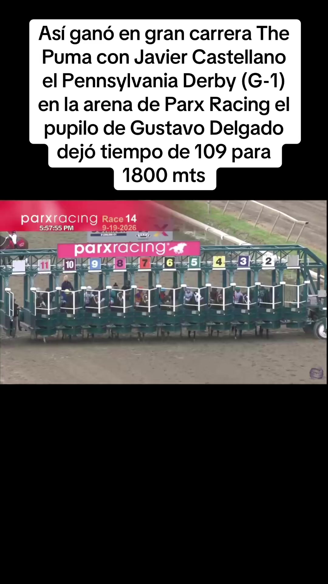 @Harrington Hurtado