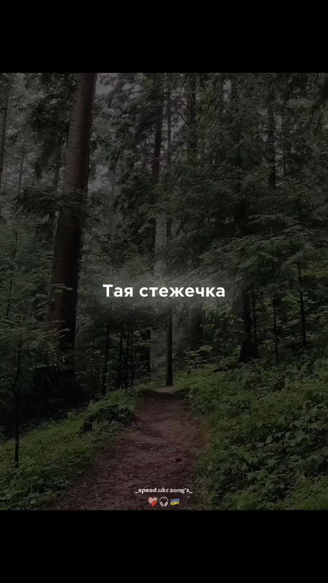 @❤️🩹🎧🇺🇦