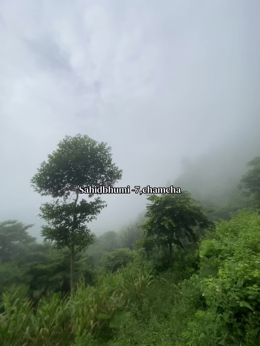 @अनु दर्जी
