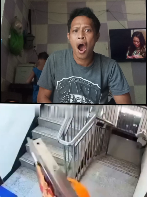 @Krazy Dong 2.0