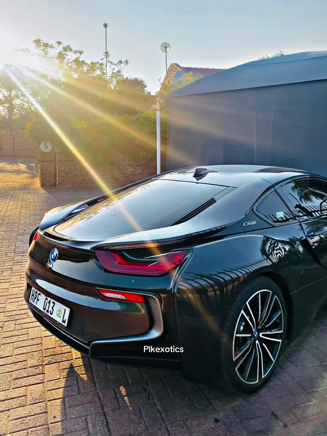 @PLK Exotics