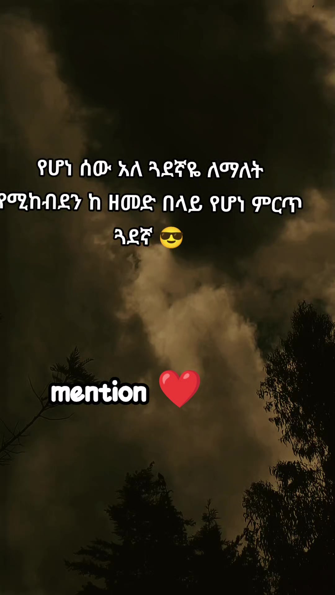 @โจ TEMU Quotes