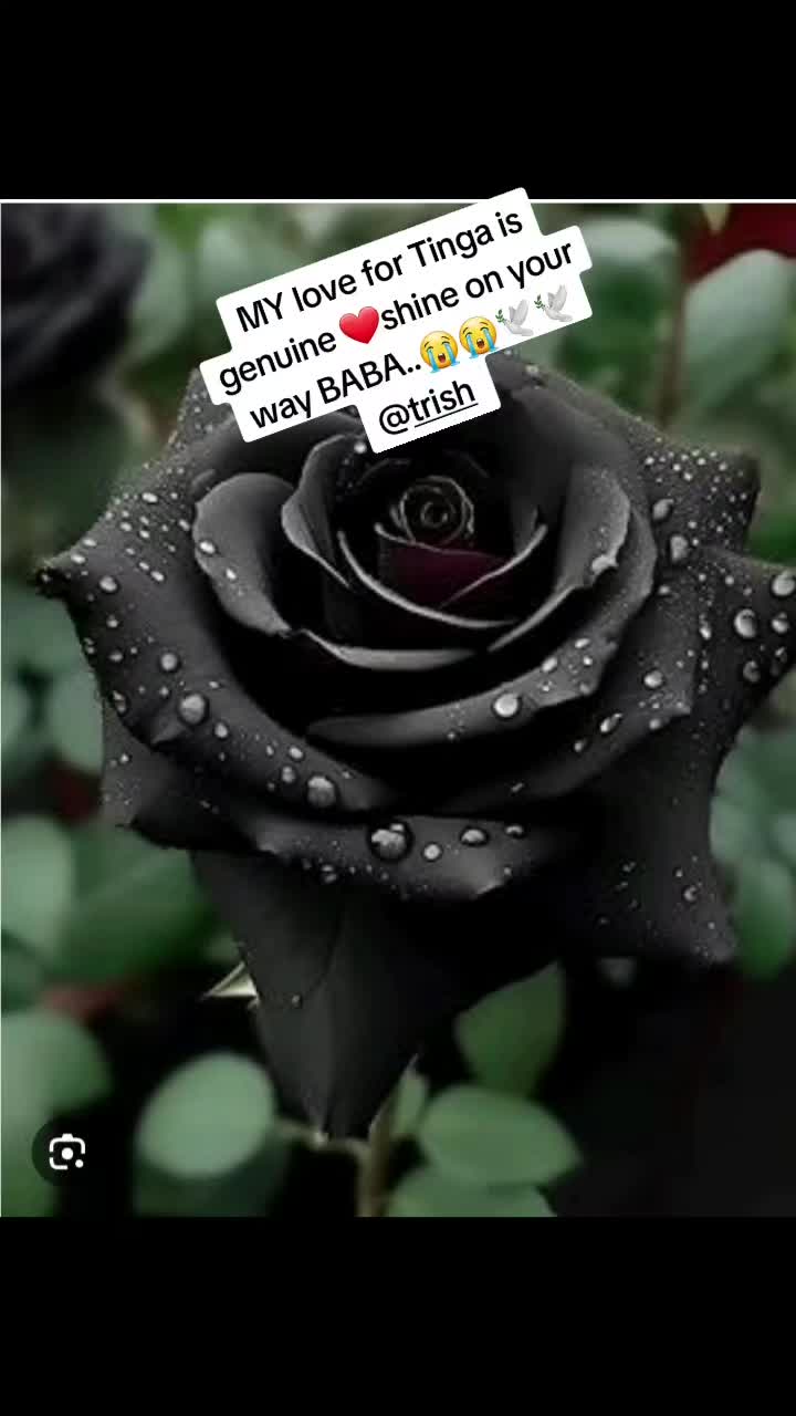 @trishaaA