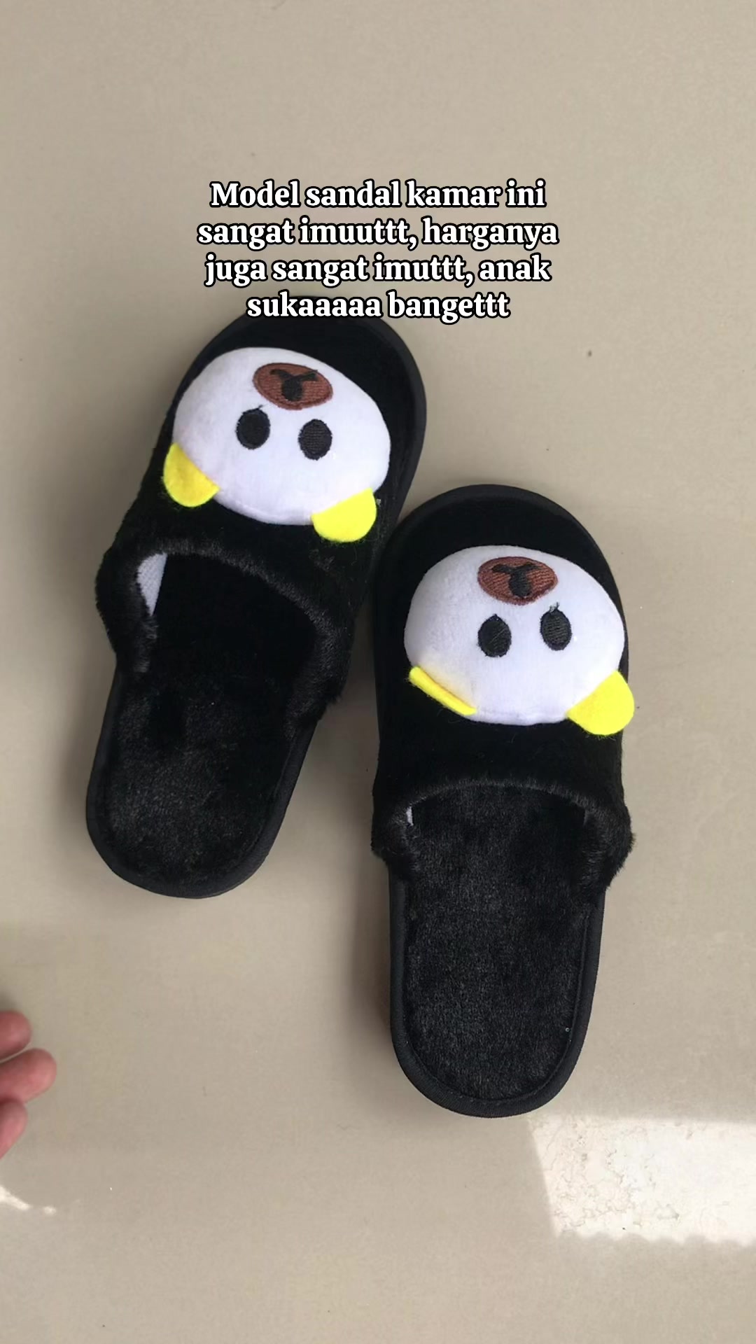 @kaktara24