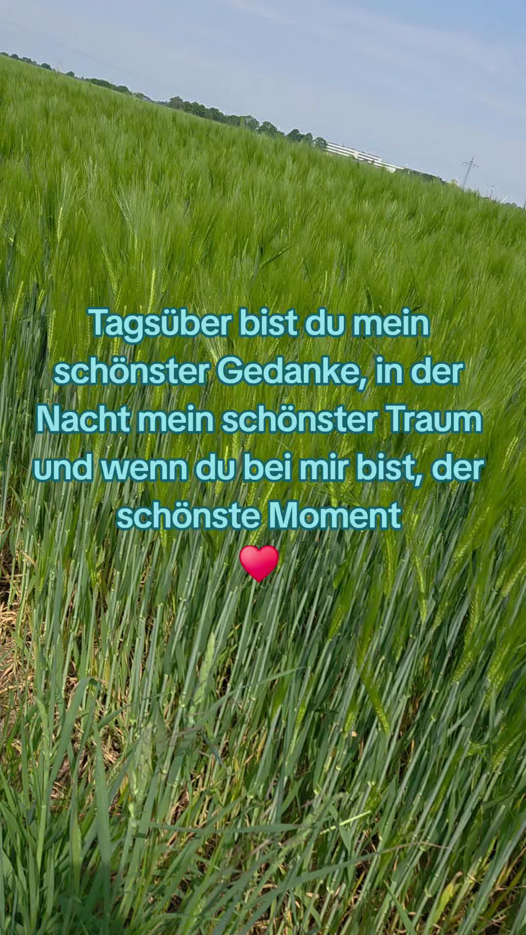 @Mo Ni Weber