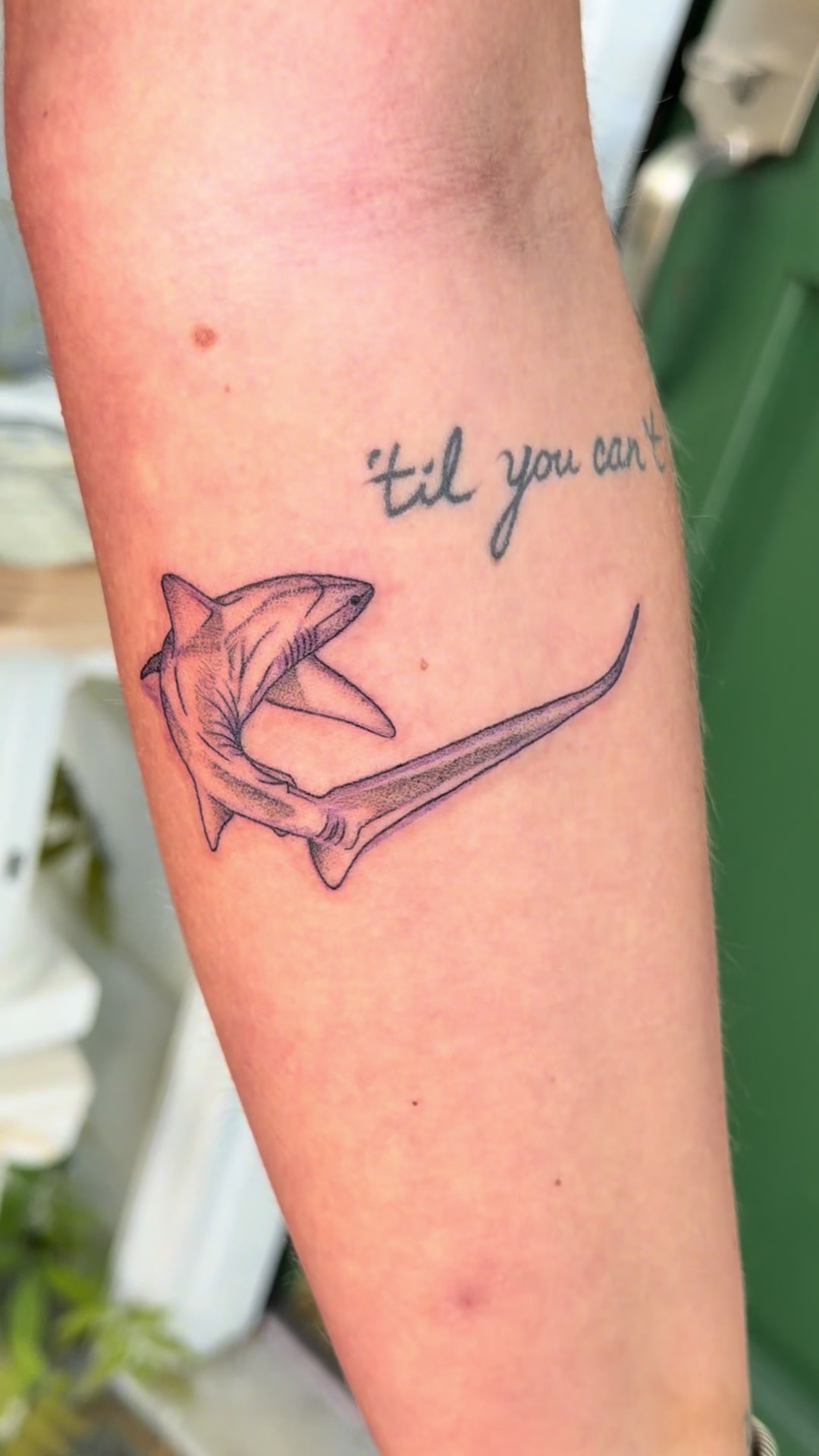 @Grace Hardy Tattoos
