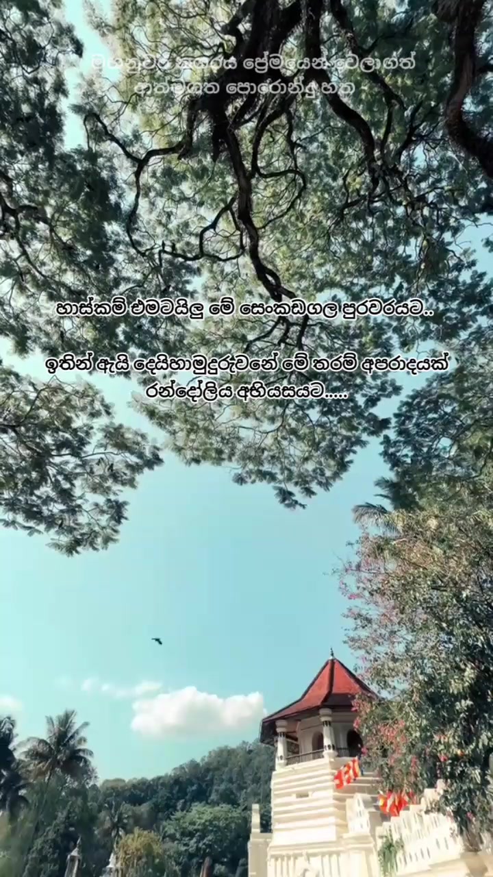 @Larsk_za