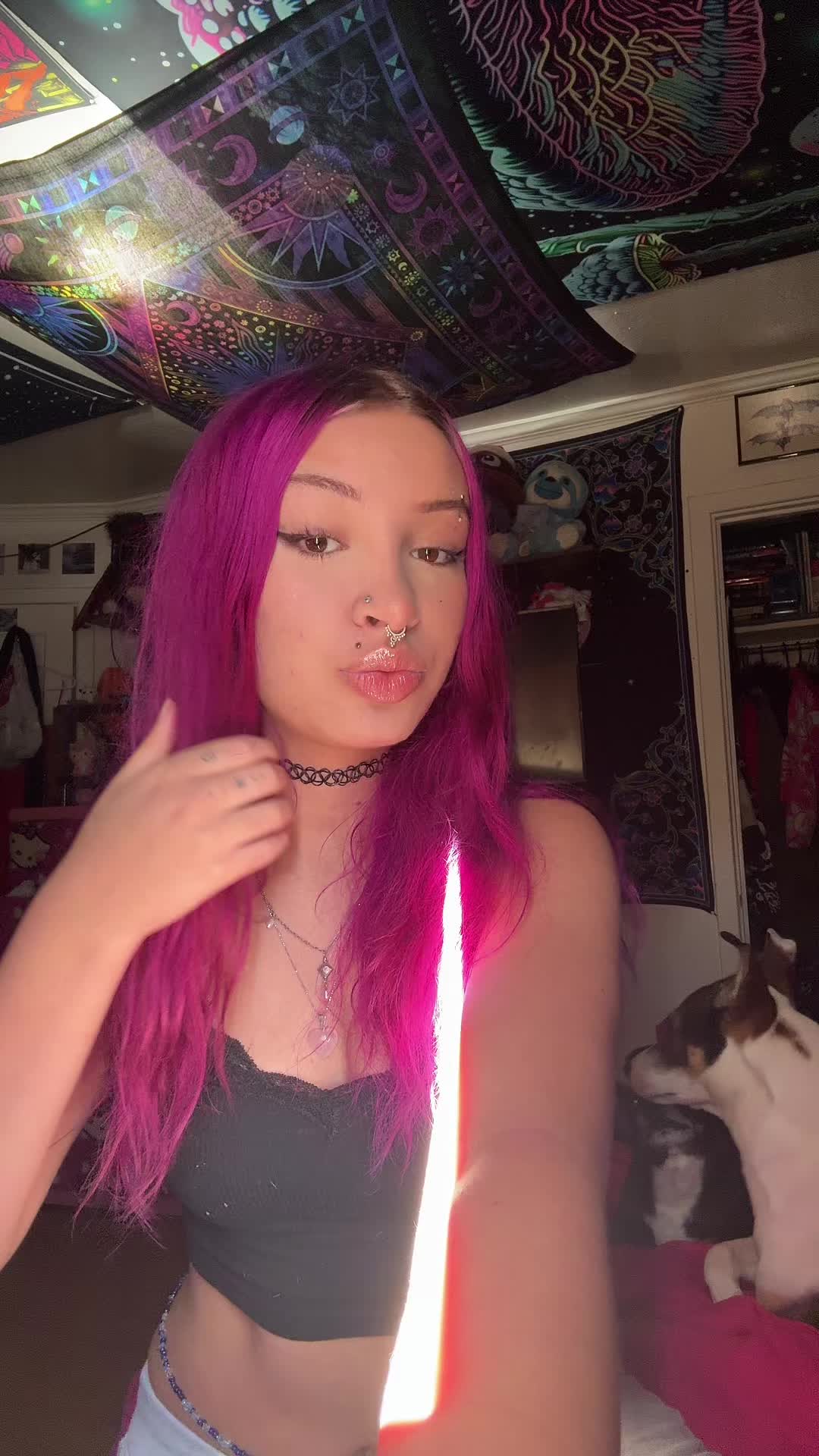 @da.luv.bug