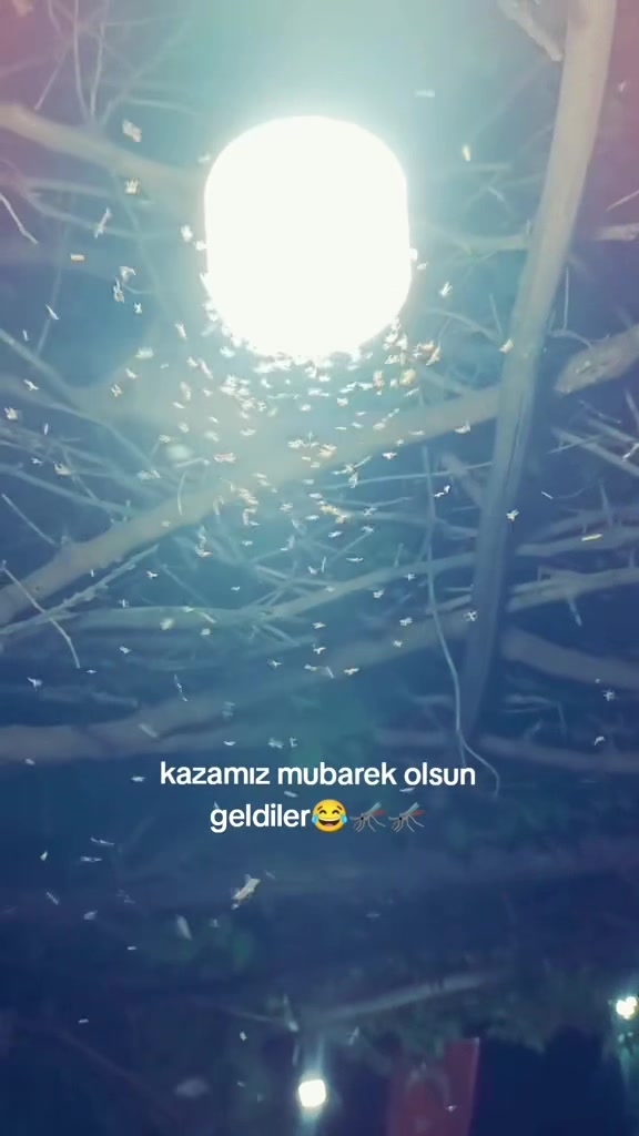 @gökhan basıc