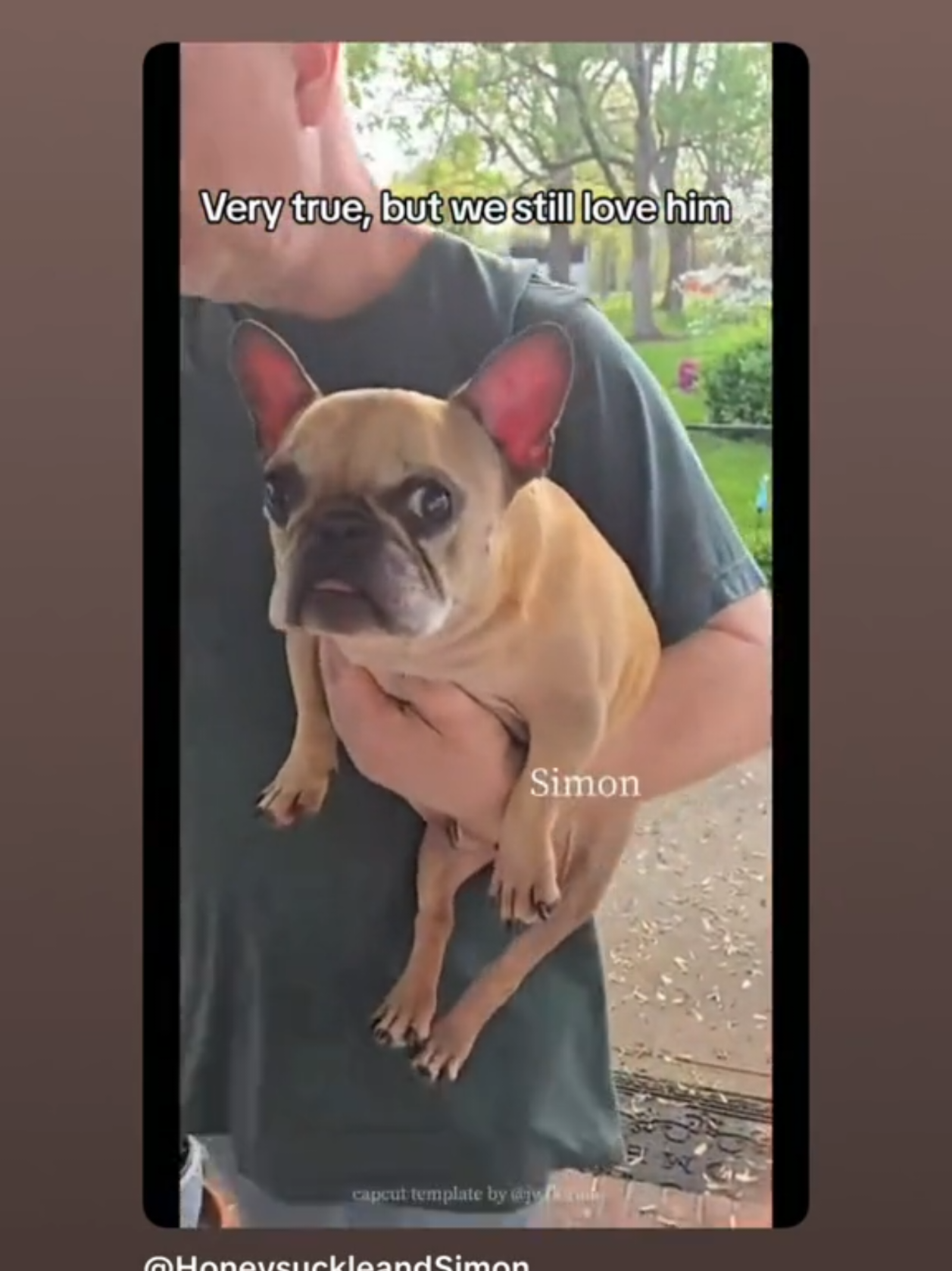 @HoneysuckleandSimon