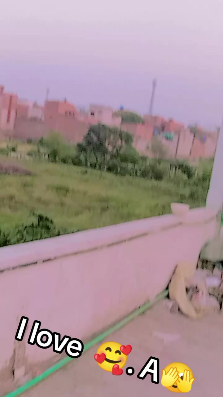 @ziddi Rajput