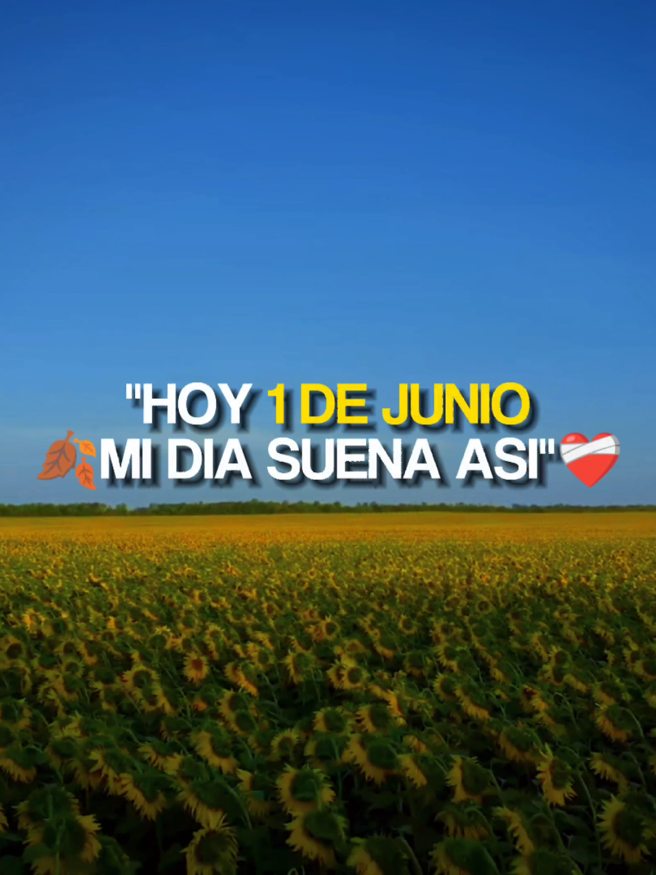 @M&uacute;sica Sin Barreras
