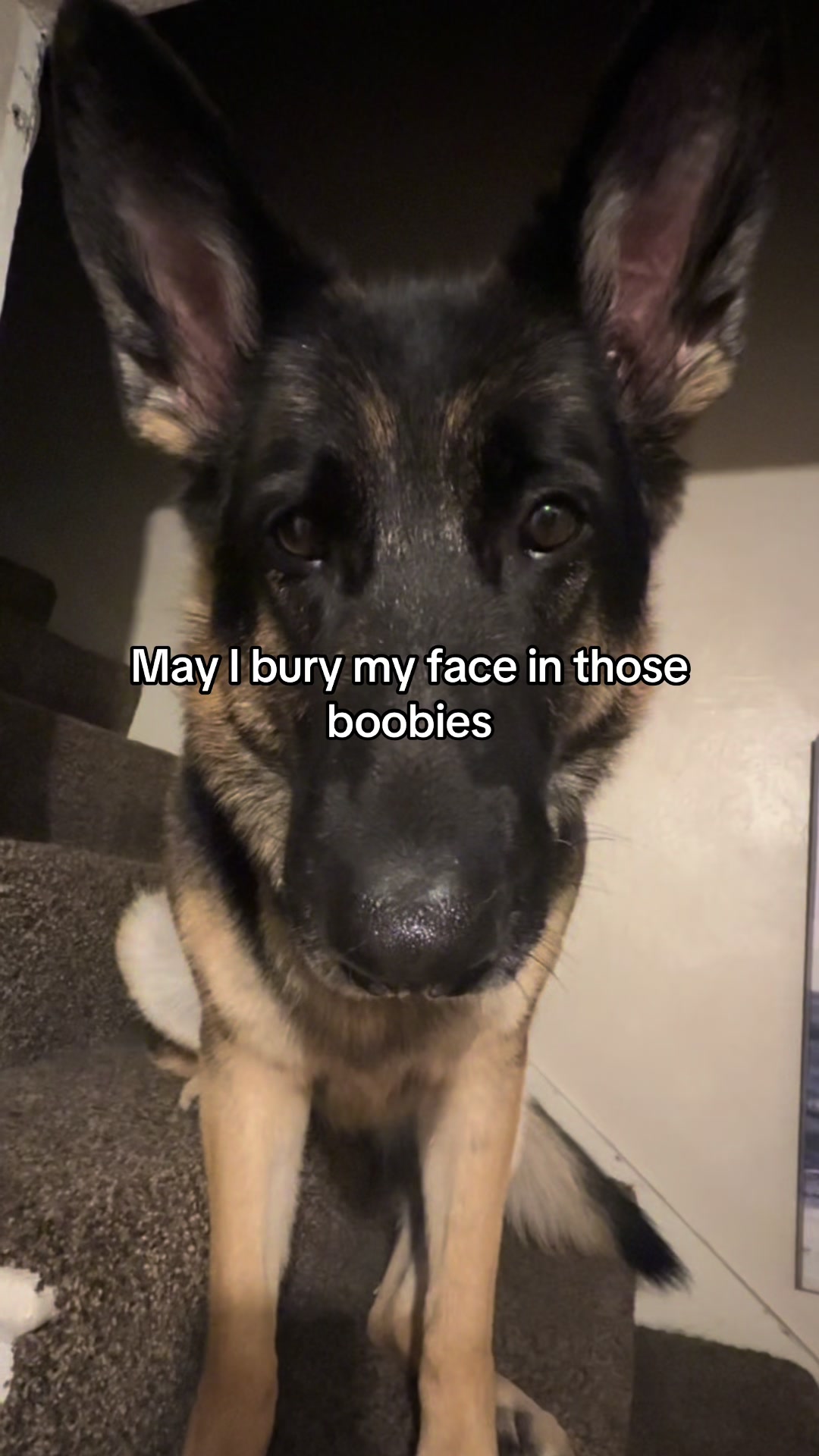 @Bhris
