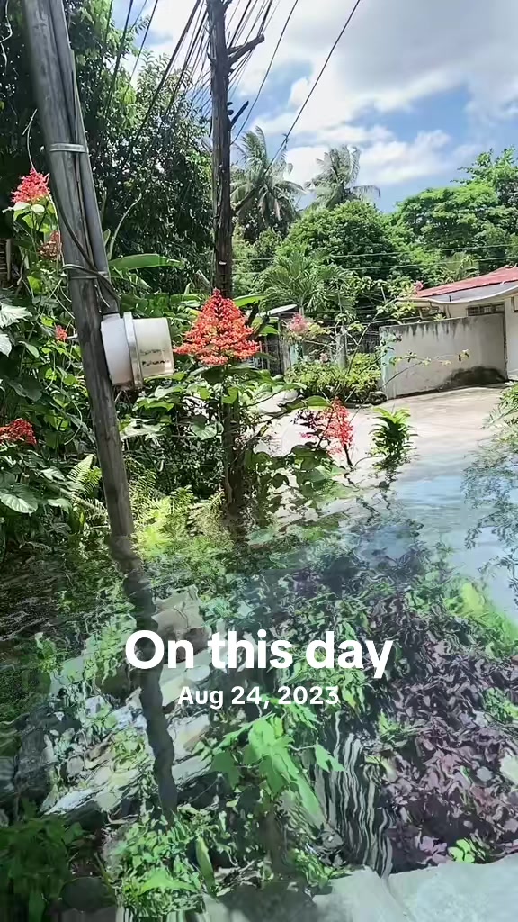 @Rose in Saipan🇲🇵🇺🇸🇵🇭