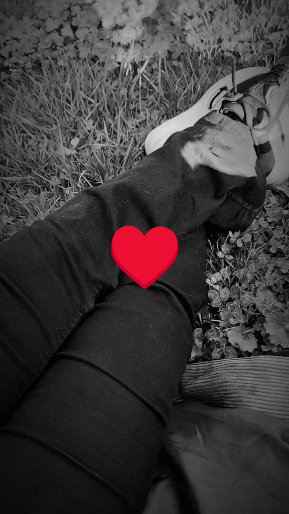 @Sezgin_hatunn