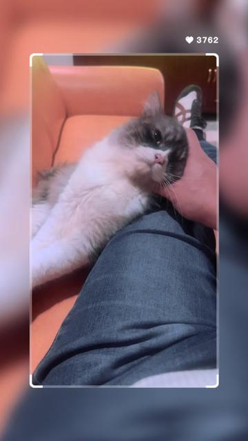 @🐱w!ne 🪺