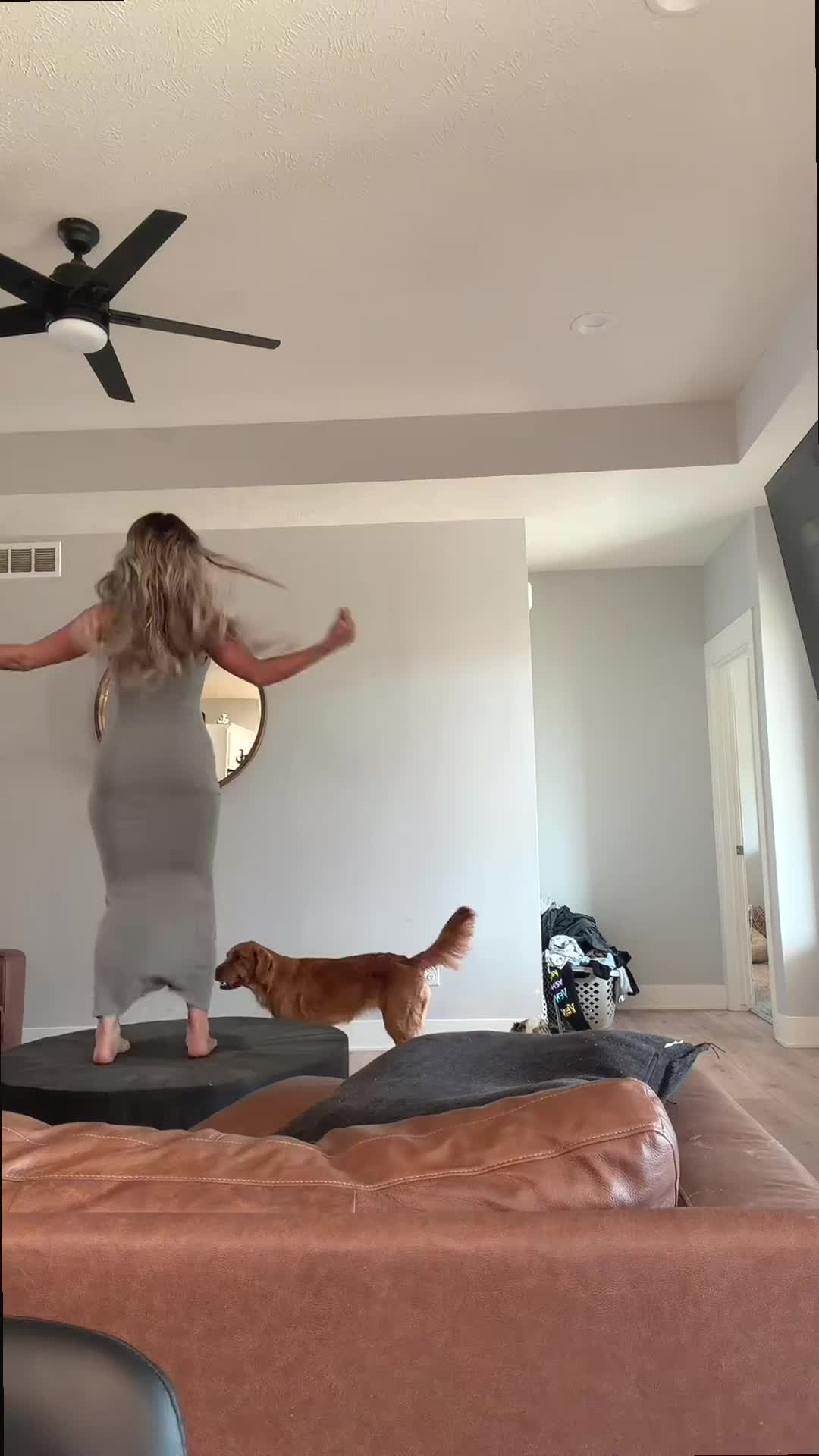 @anvdhfsw