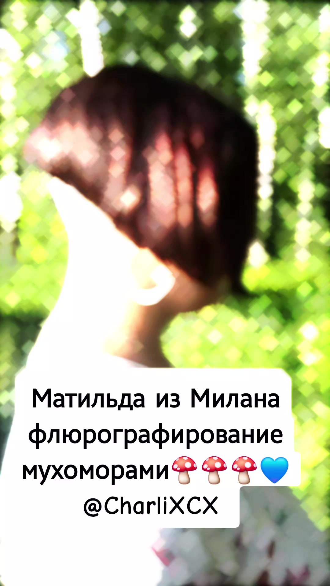 @Алёна-Алиса Фрау-Меллер