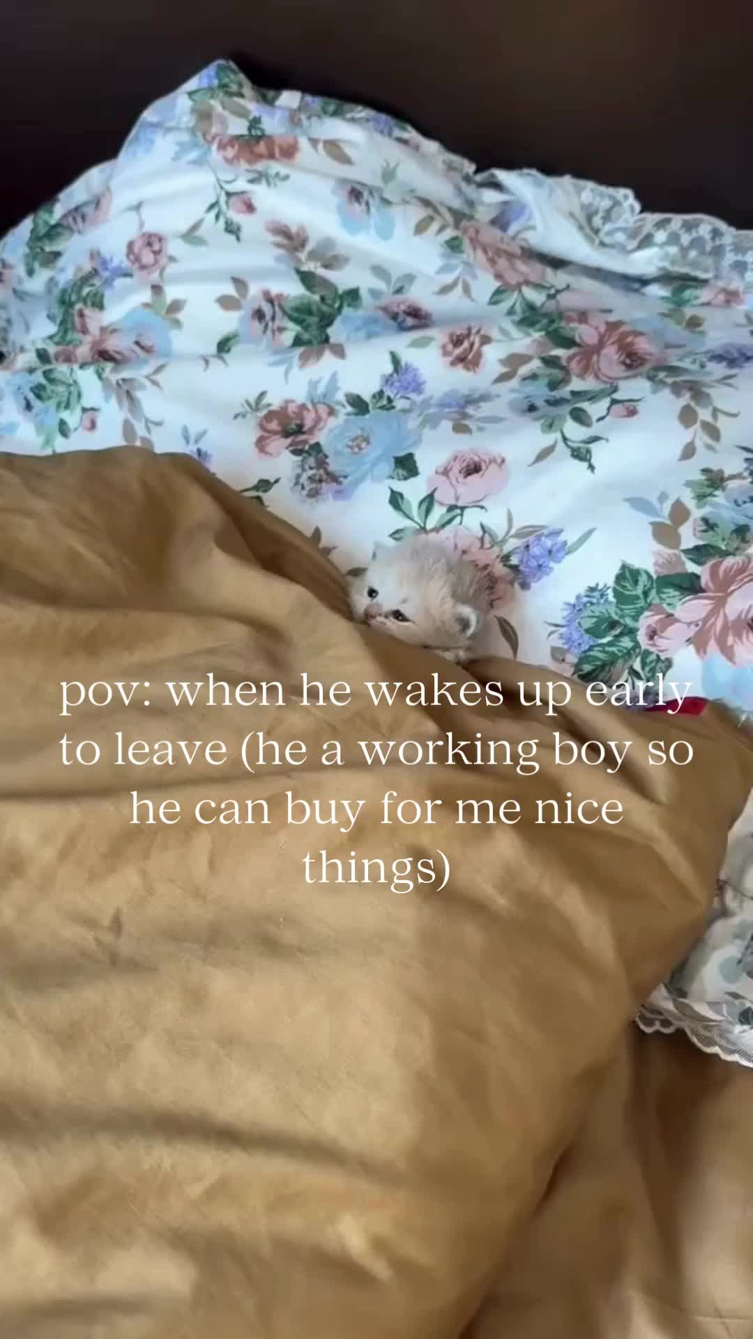 @BabaBear