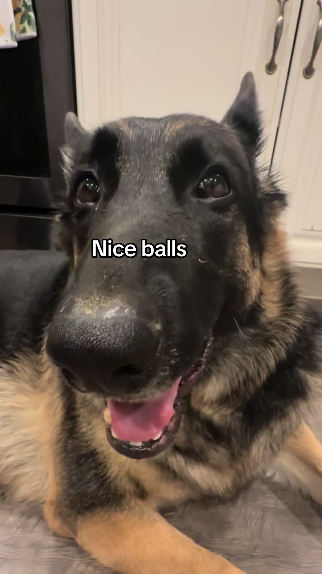 @Bhris