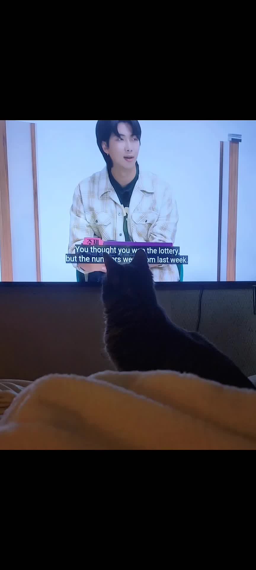 @No More Sad Kitties