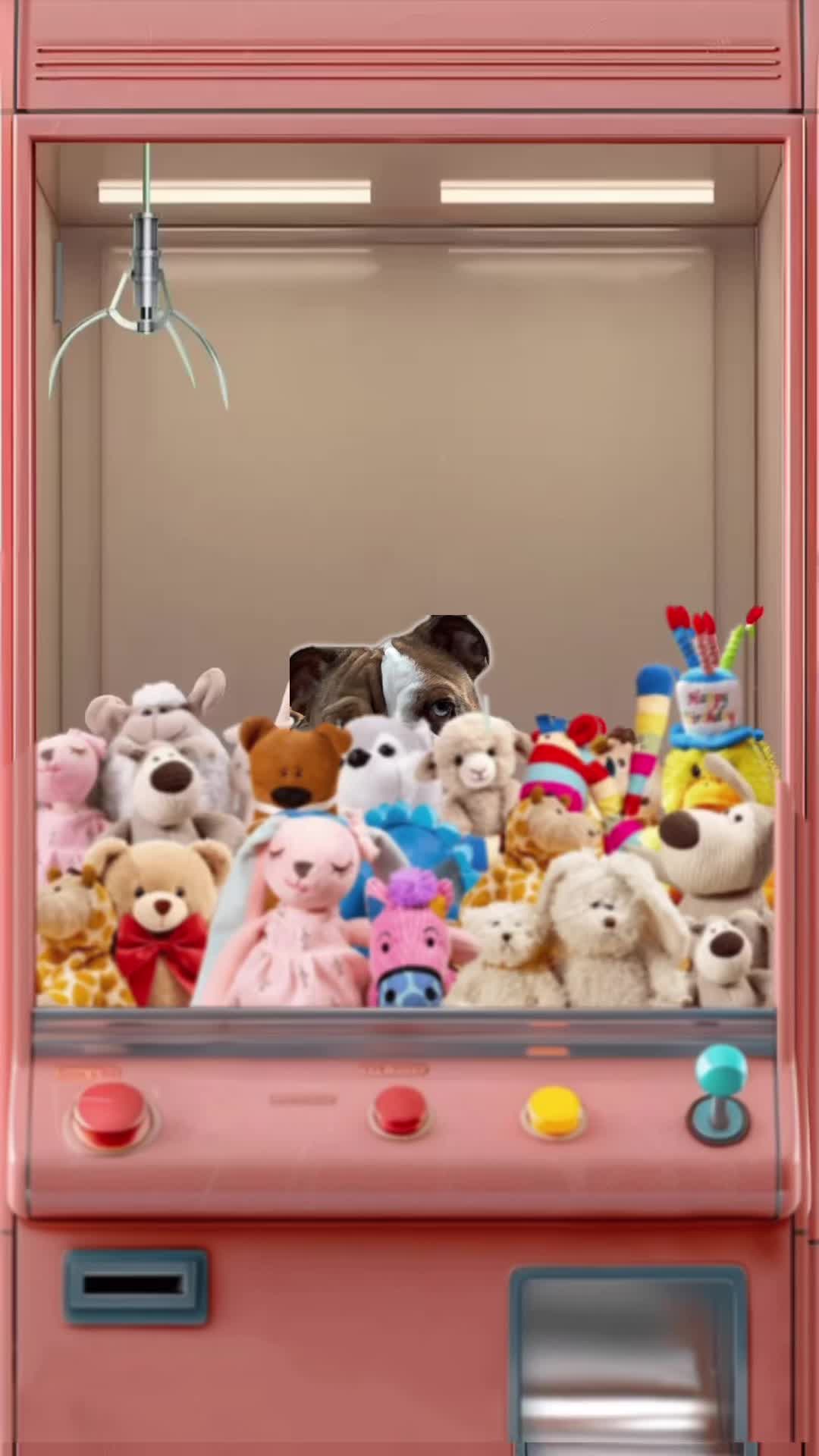 @🩵 Suju 🩵