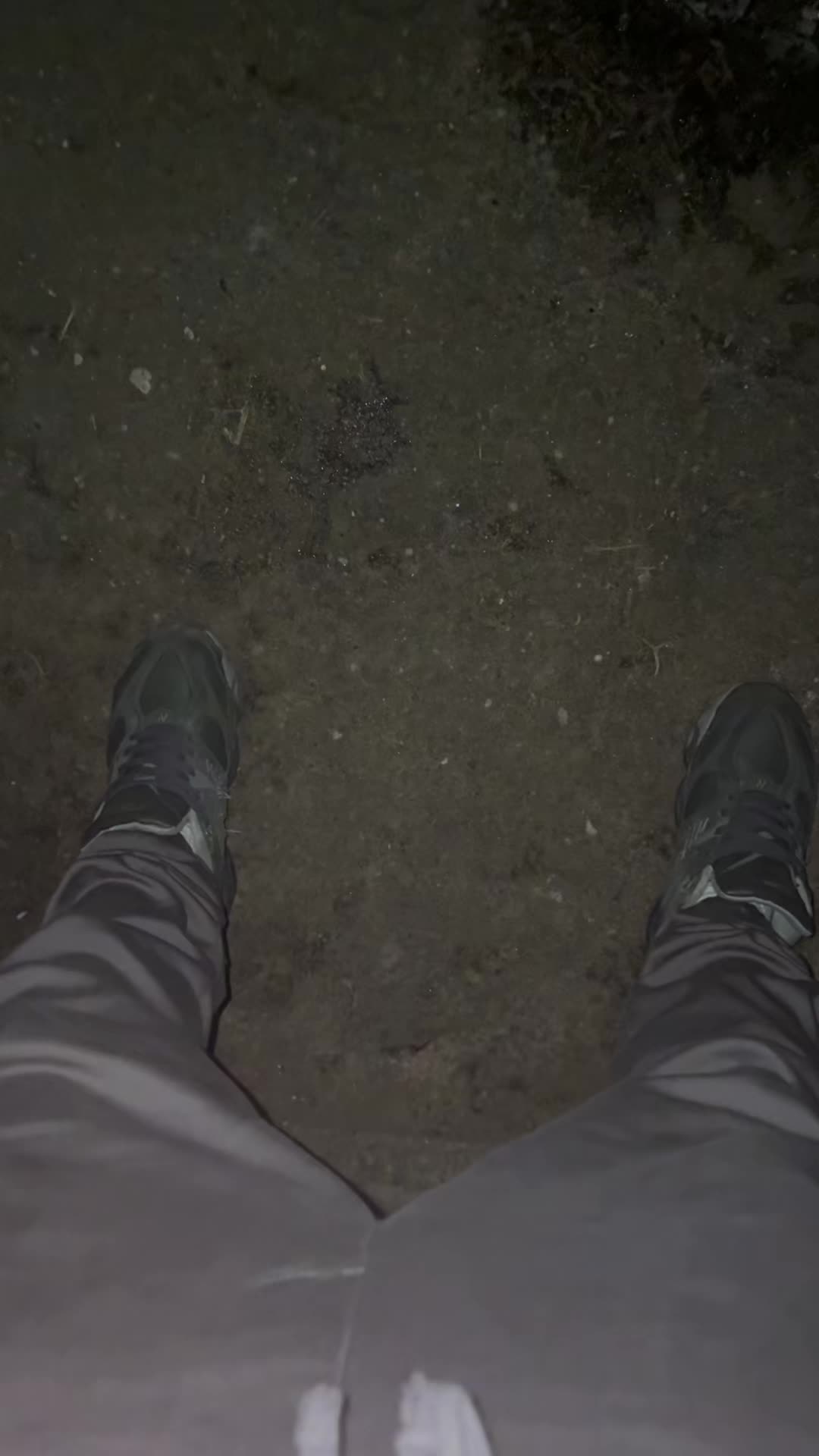 @musaev