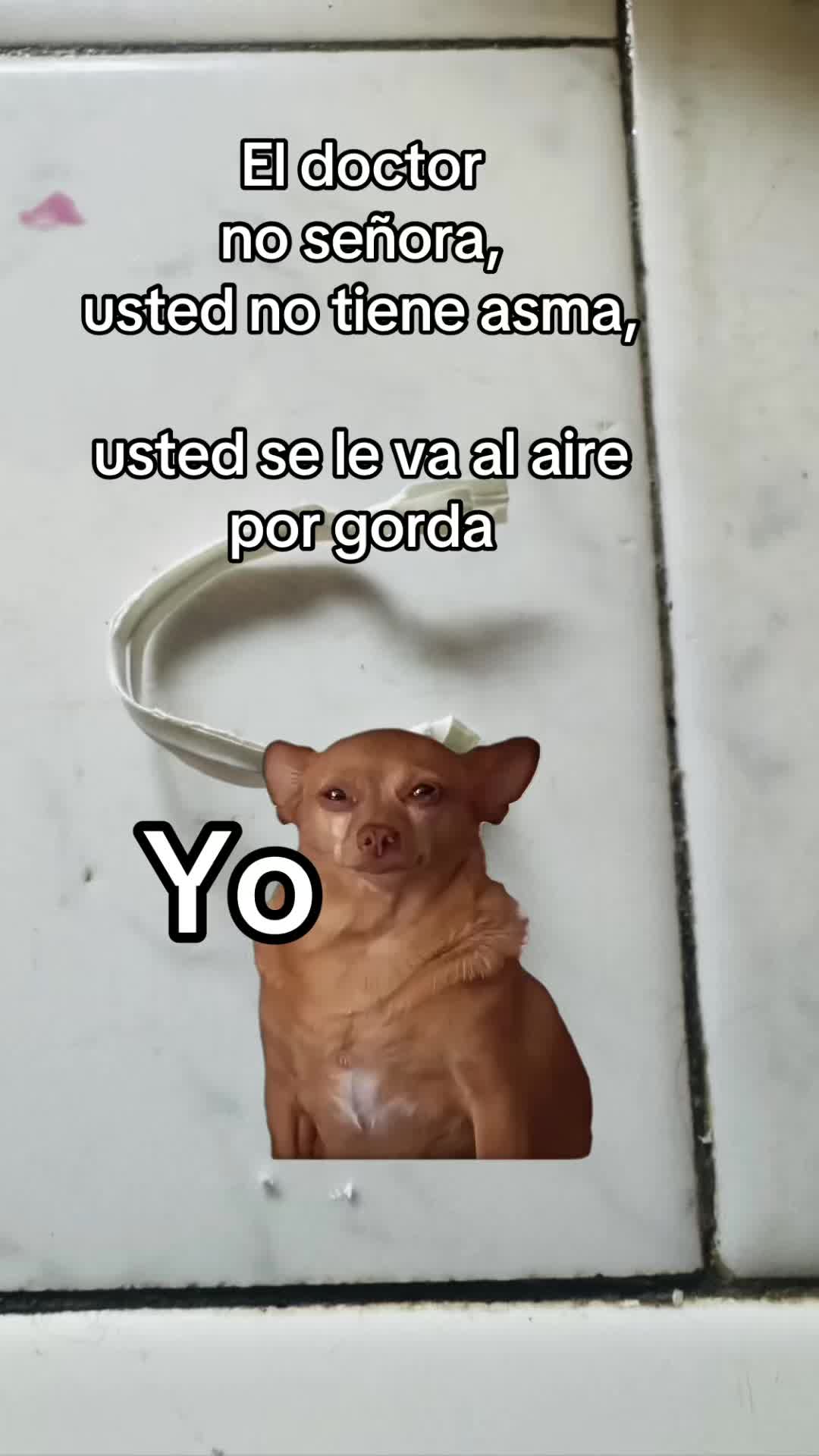 @🇭🇳clary-100%,catracha🇭🇳