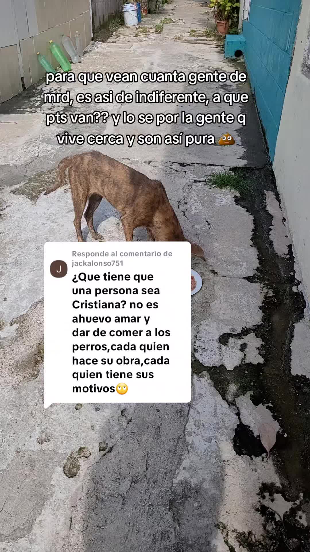 @𝕃𝕚𝕤𝕤 ℝ𝕖yes🇸🇻