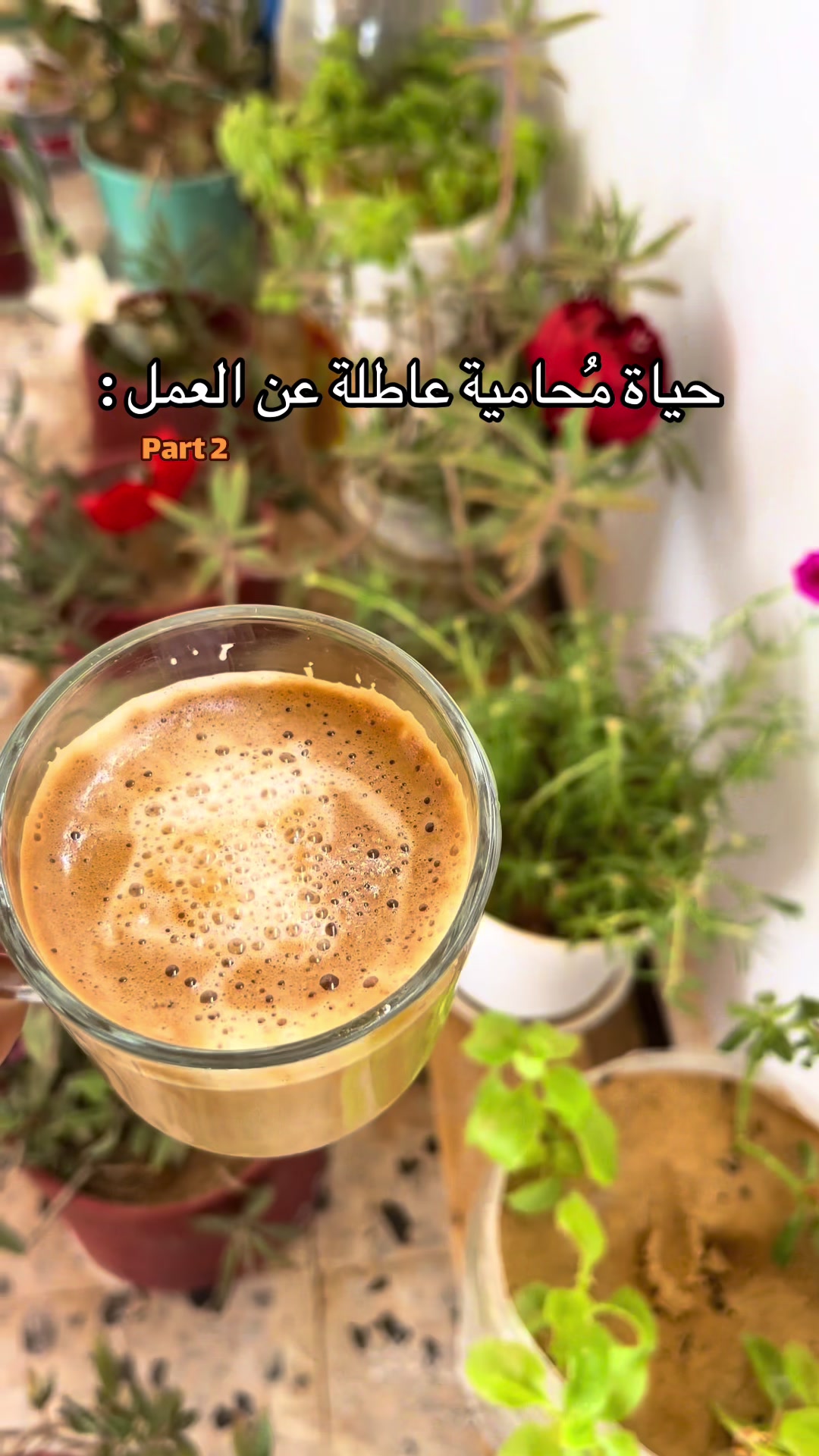 @☀️ـهـــد