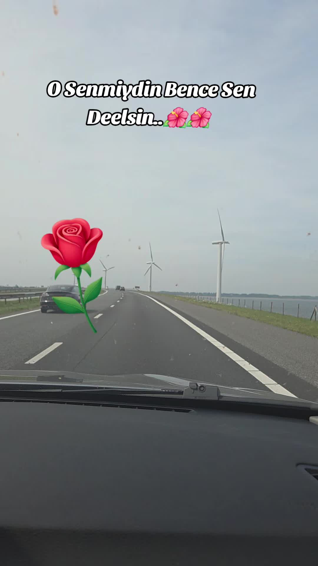 @🌺🌺🌺🌺