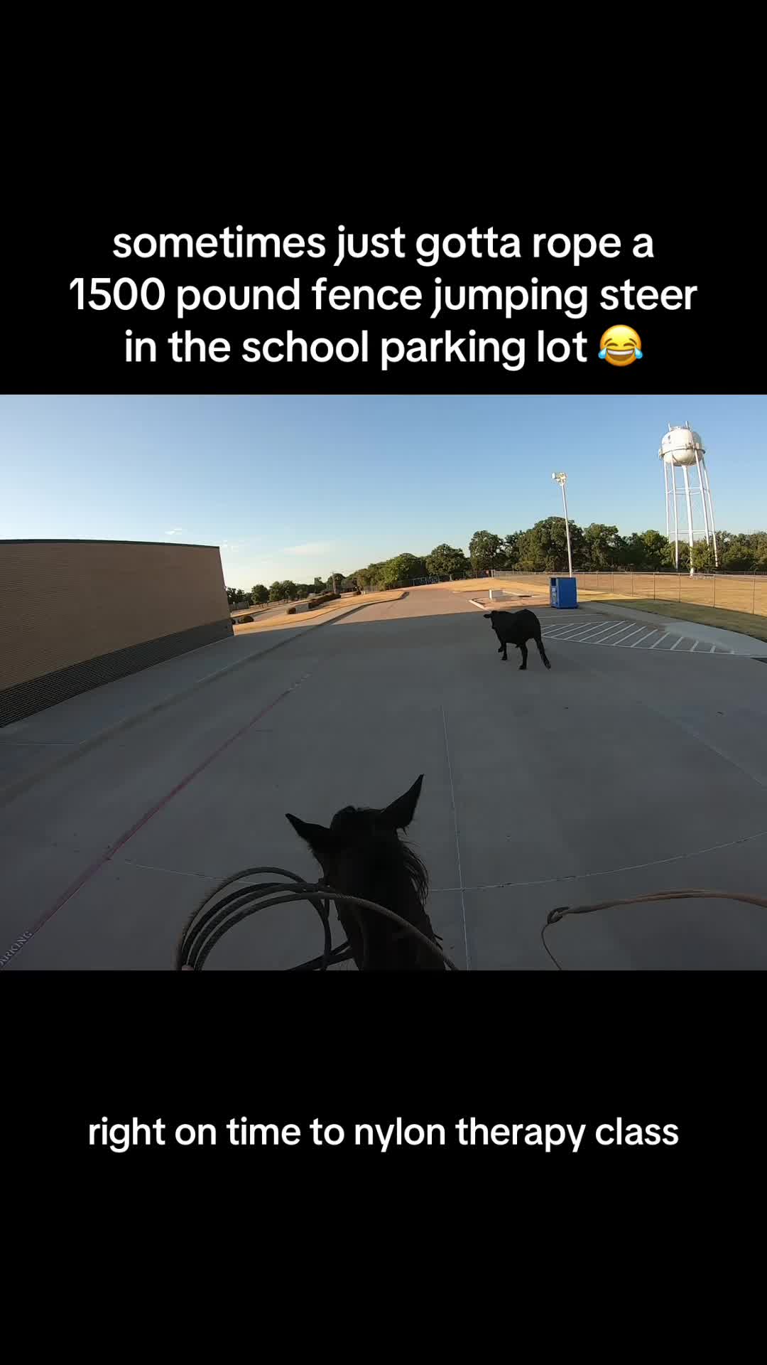 @Austin Apodaca