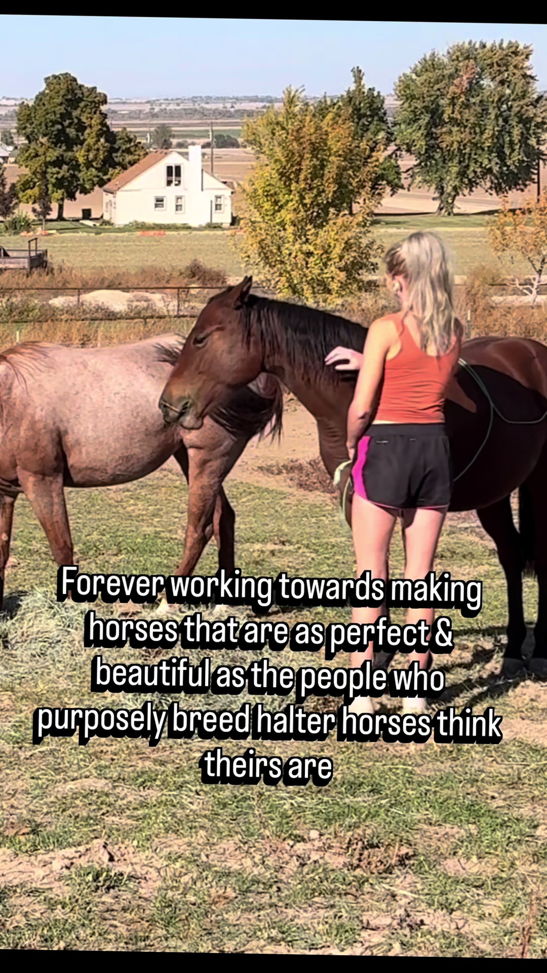 @farmgirlwhitnee