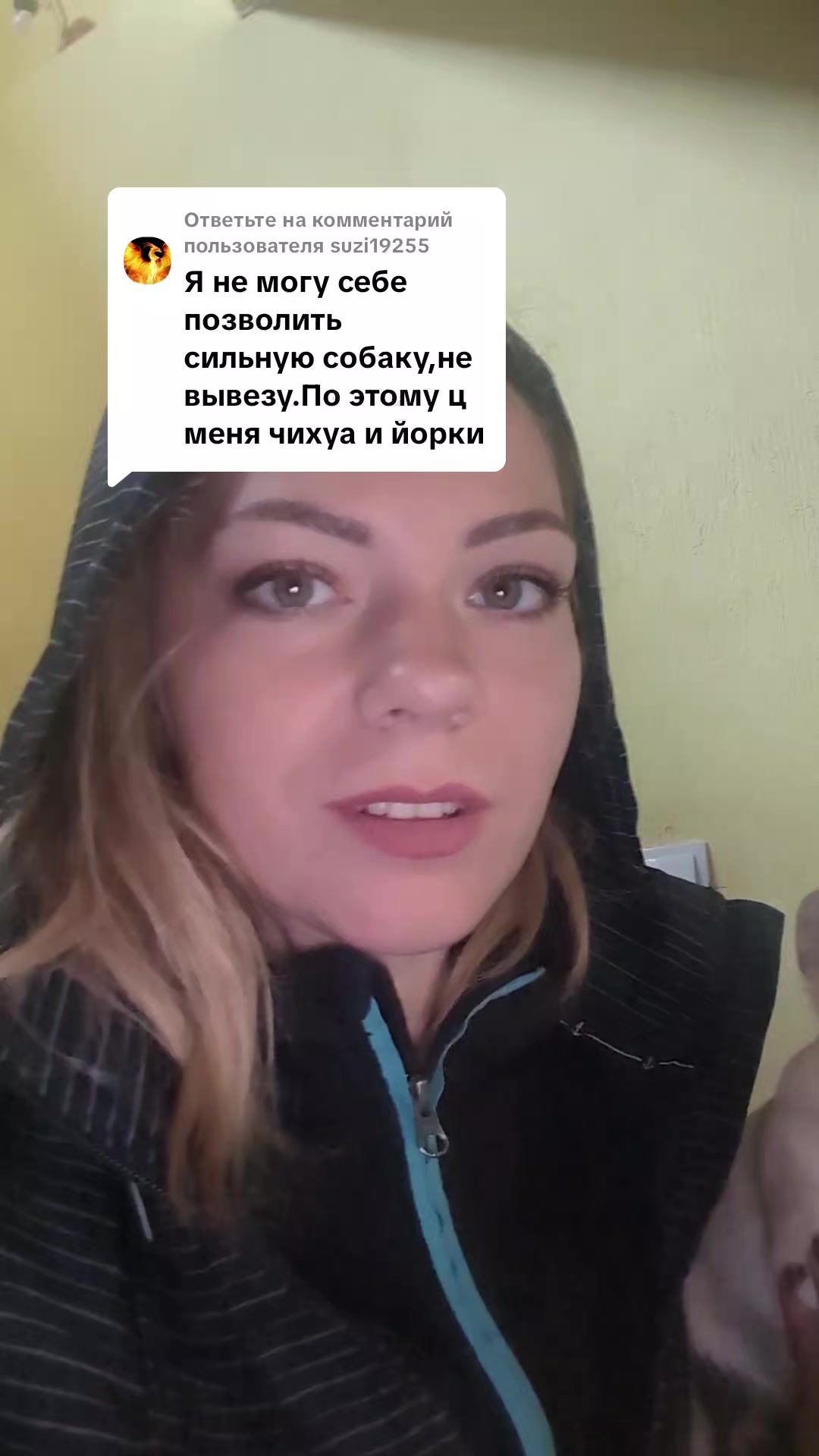 @вівчарки "Wolf'sfelzem"