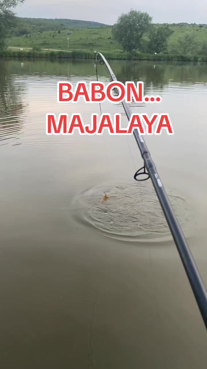@SuryaGemilang