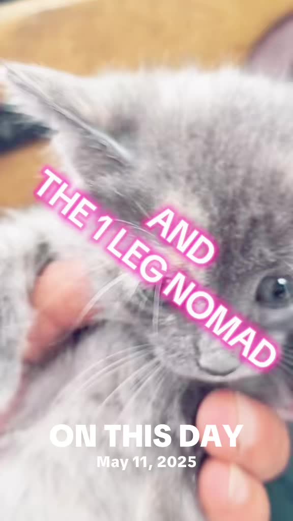 @The 1 Leg Nomad