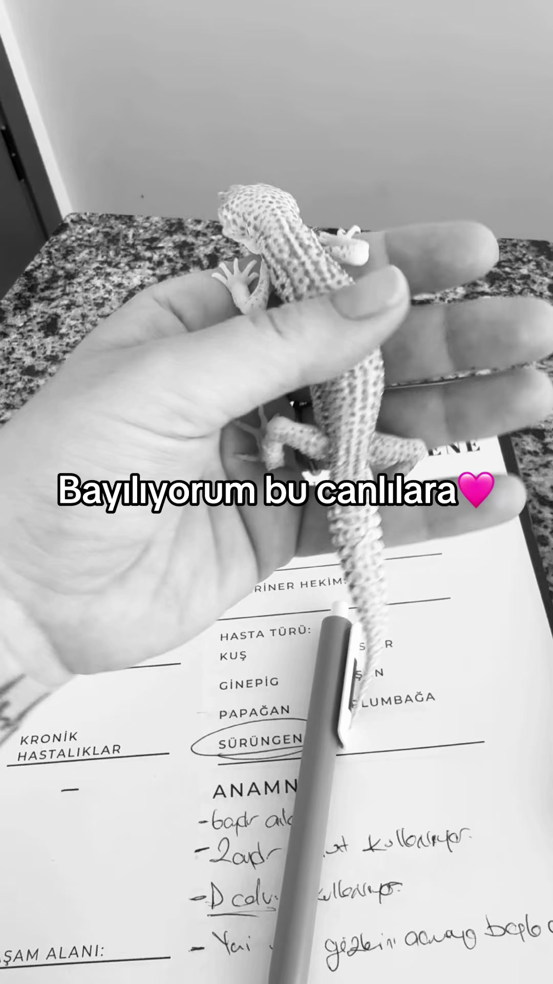 @vet.Behide