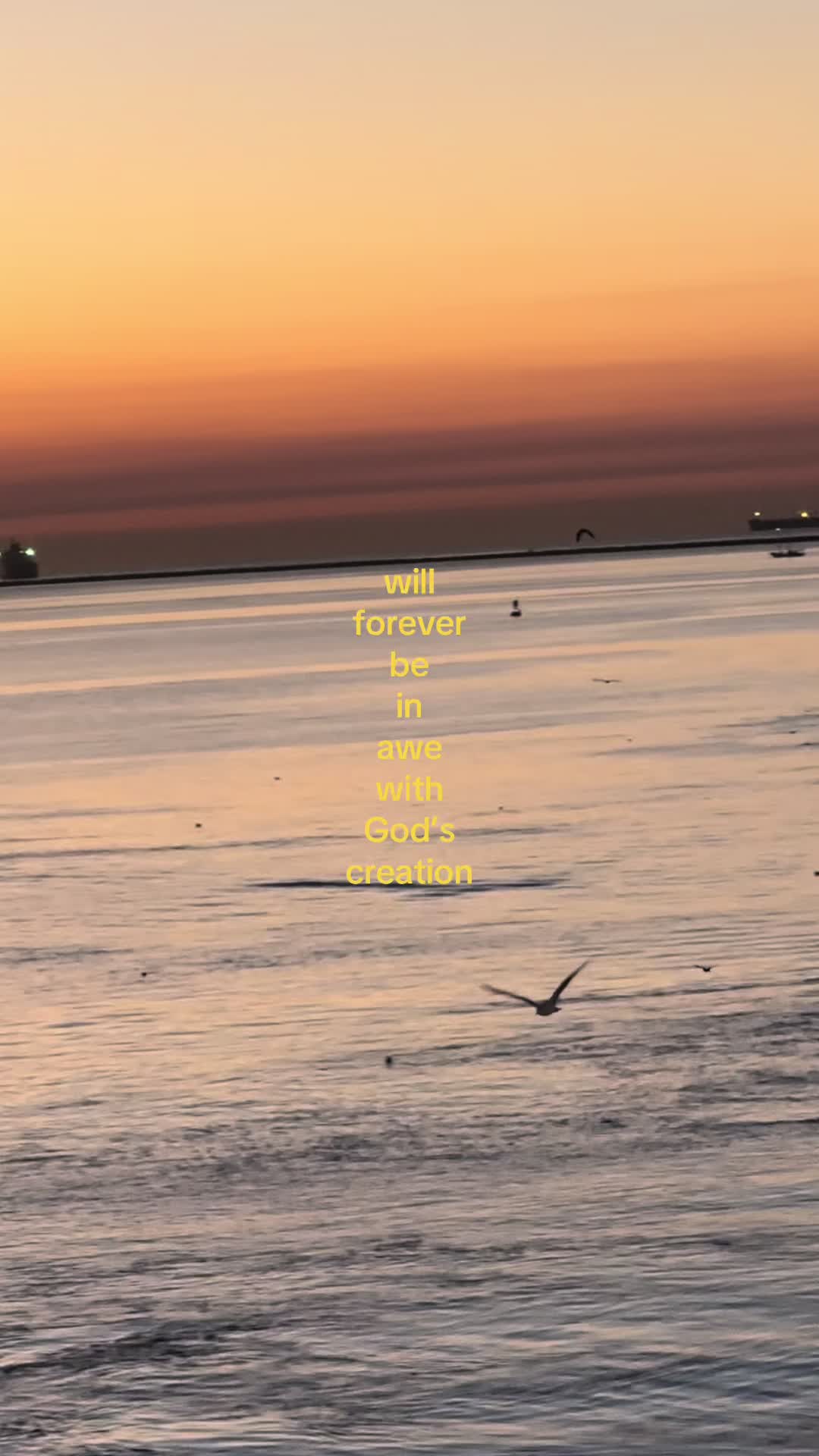 @clippervault67