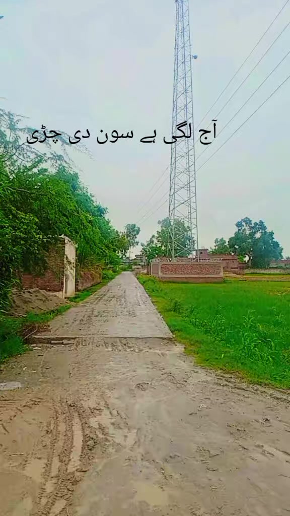 @Shah g