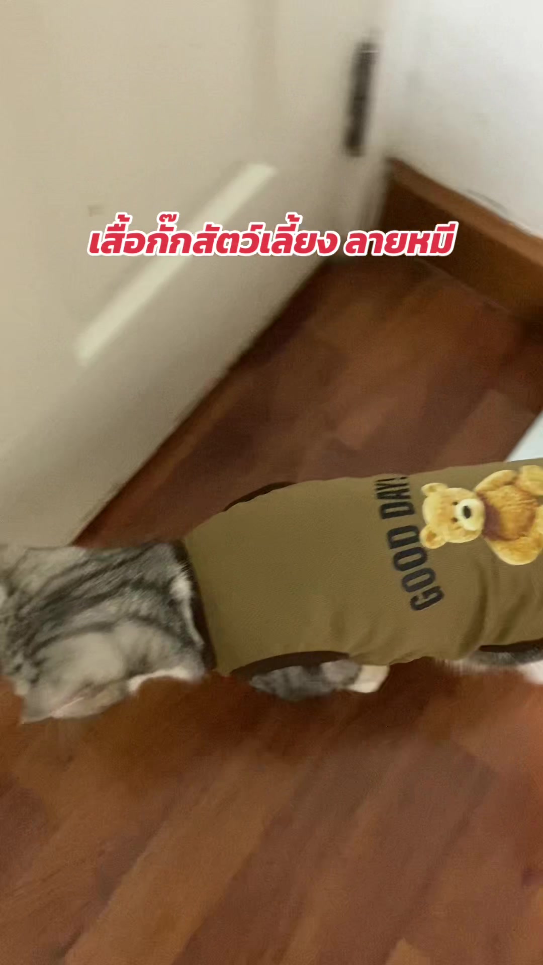 @luxsiriwan21