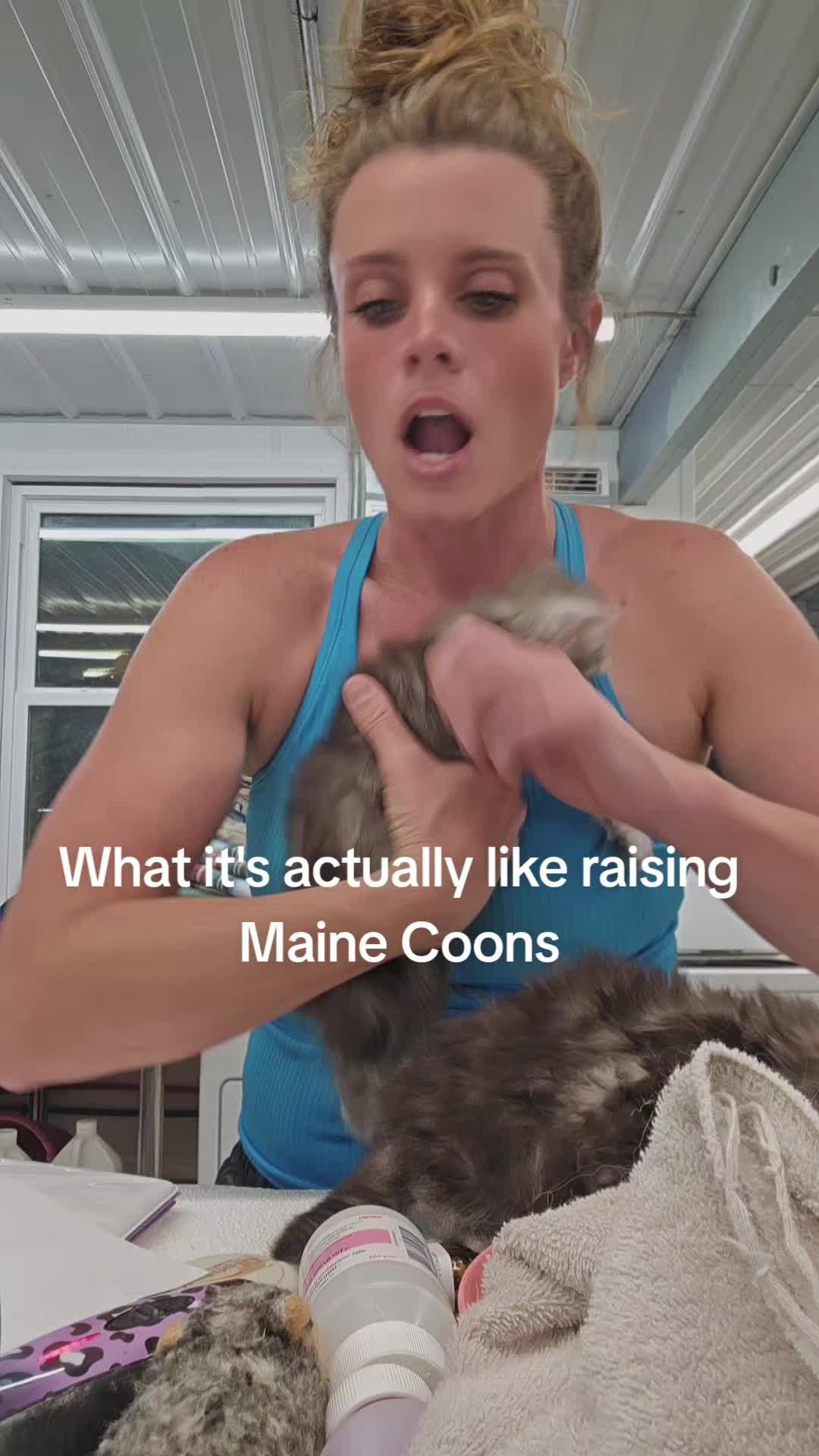 @@actionfarmsmainecoons