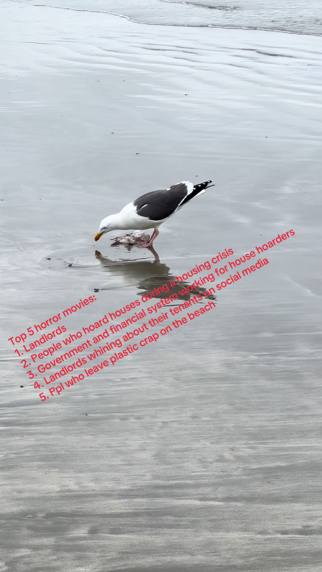 @Binchybirbs