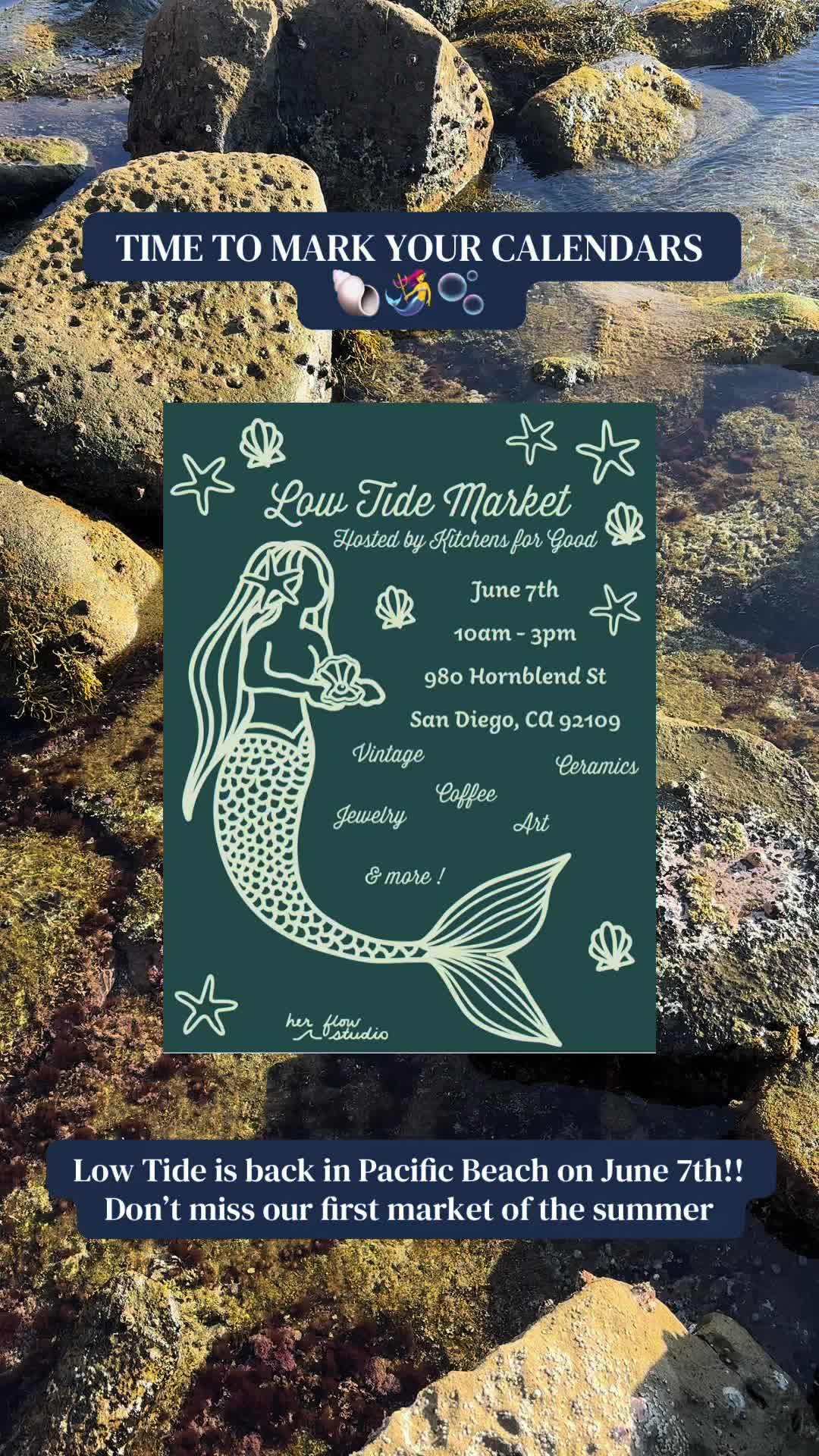@low tide market