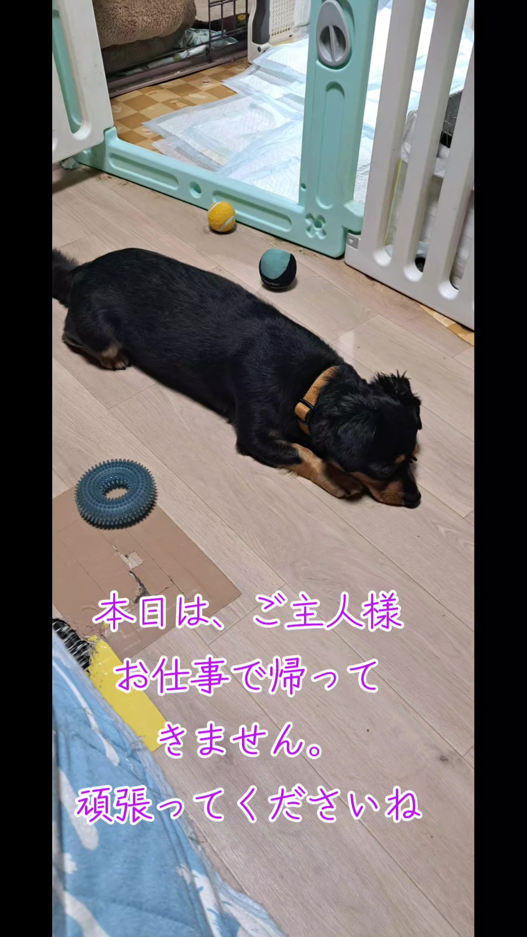 @タケヤッコ