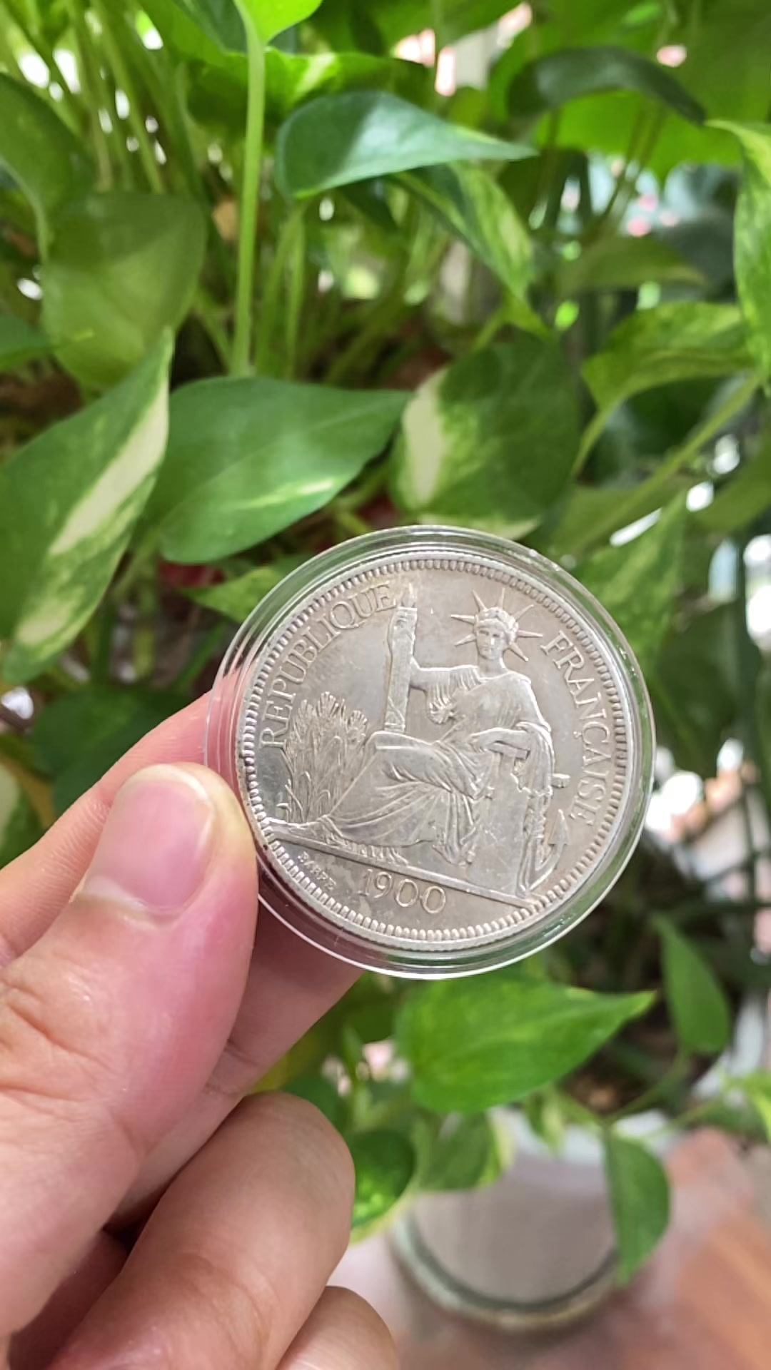 @Shop Tiền Sưu Tập